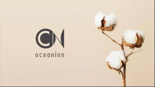 蘇州創博會常客 容易文創 ,帶來 這個時代最好的布包