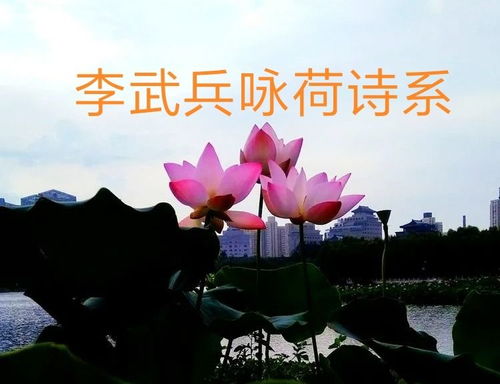 荷花,如此深刻地美麗 詠荷詩系之二