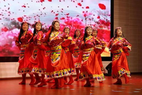 文化生活群眾滿意度 請(qǐng)您為岱岳文化生活點(diǎn)贊