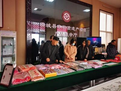 蒲城縣圖書(shū)出租服務(wù)獲肯定，文化館評(píng)估與公共文化建設(shè)考核圓滿結(jié)束